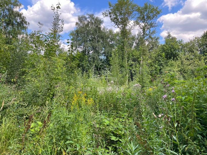 Участок 11,3 сот. (ИЖС)