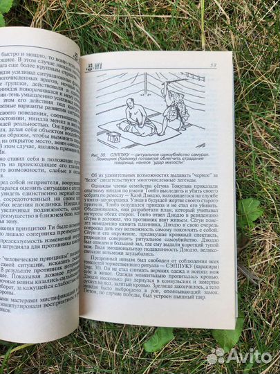 Ниндзя. Тайны демонов ночи. Гвоздев