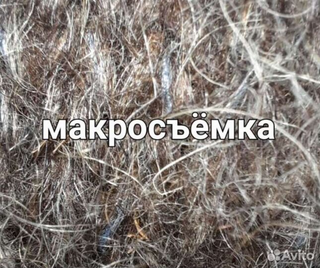 Комплект из 100 собачьей шерсти