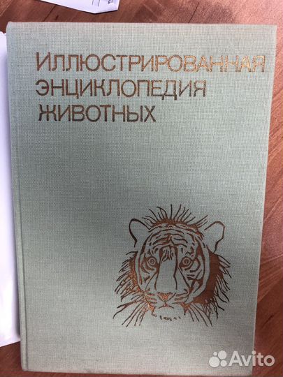 Иллюстрированная энциклопедия животных 1988г