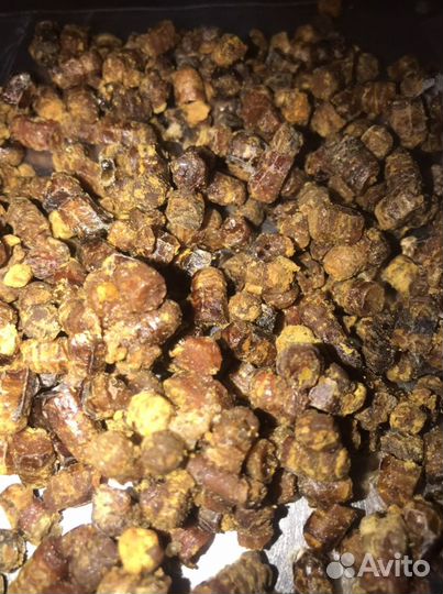 Перга пчелиная 500 грамм. Сбор 2022