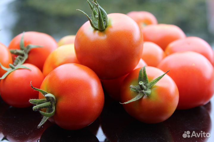 Продам огурцы помидоры