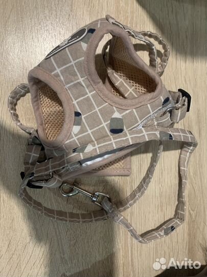 Шлейка для собаки