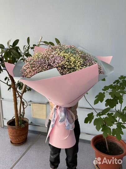 Большой букет гипсофила подарок букет гигант