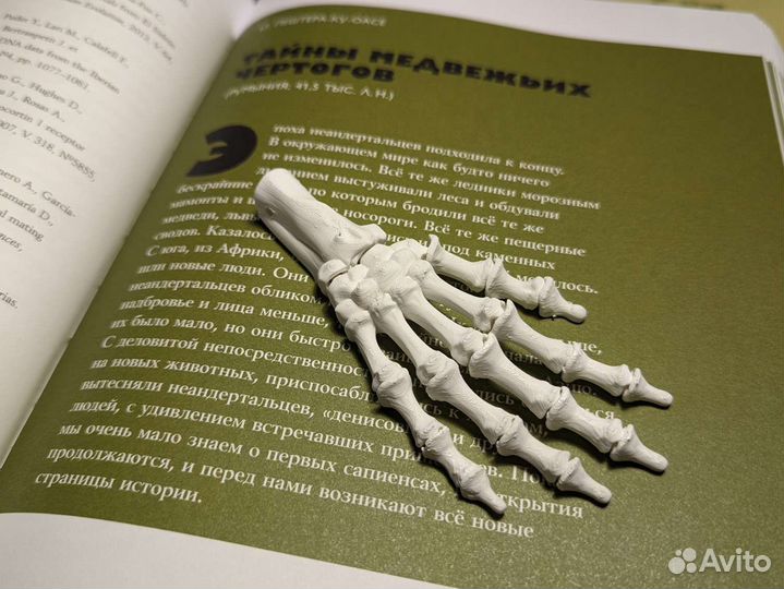 Скелет руки - аксессуар на Хэллоуин