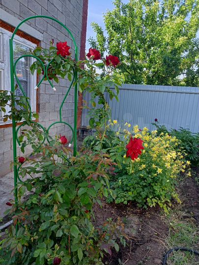 Дом 103,7 м² на участке 12 сот.