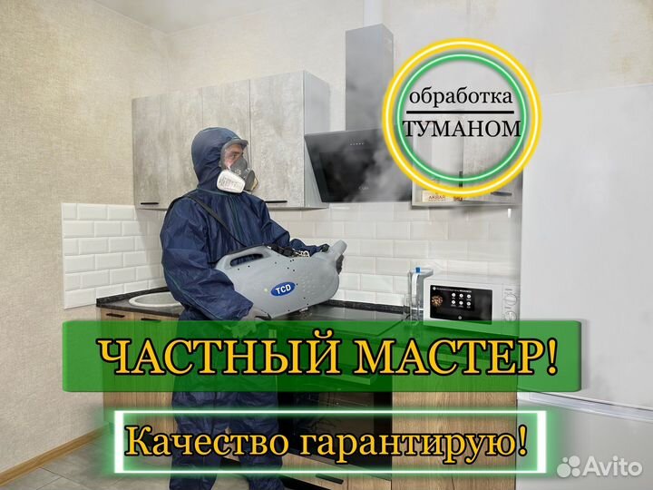 Уничтожение тараканов, клопов, блох, клещей
