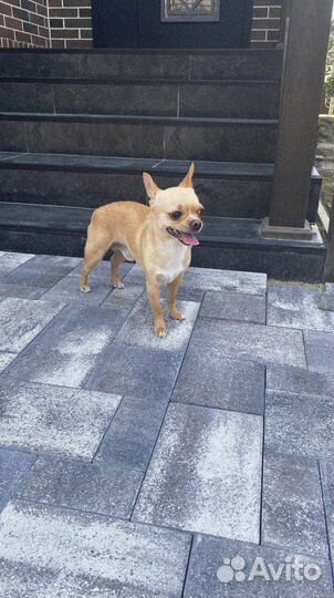 Тротуарная плитка Propress заказ от 120 м2