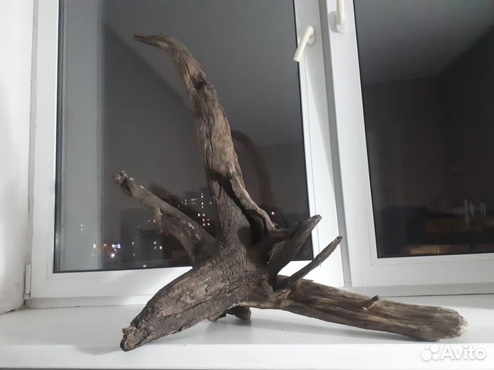 Коряга в аквариум или террариум