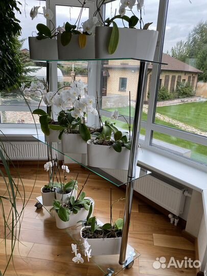 Стеллаж стеклянный для цветов