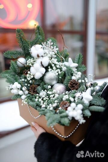 Ель нобилис - живая композиция в подарок