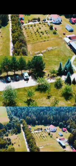 Дом 859 м² на участке 2 га