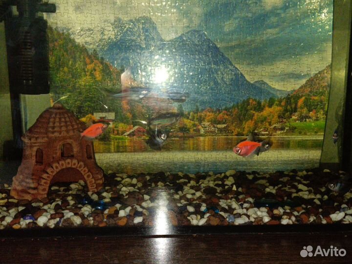 Аквариум