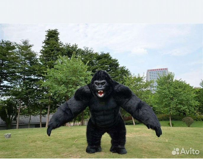 Поздравление