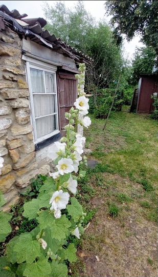 Дом 51,1 м² на участке 10 сот.