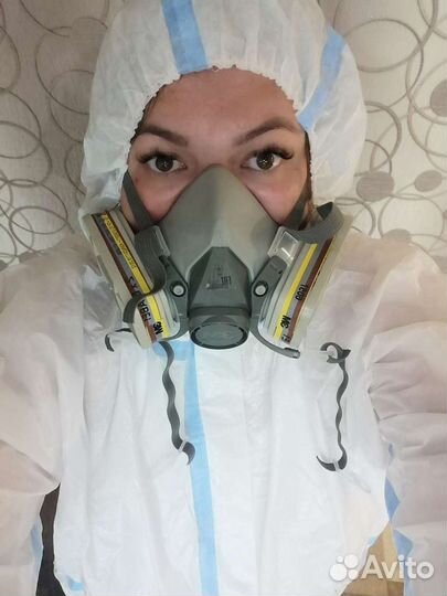 Дезинсекция клопов, тараканов, муравьёв