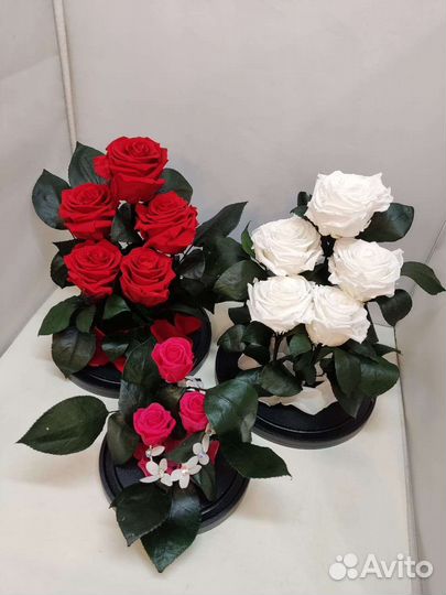 Подарок на новый год / Роза в колбе