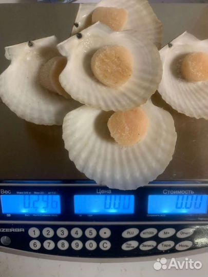 Рыба и морепродукты