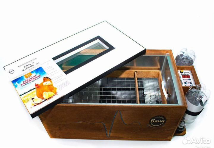 Инкубаторы Матрица, Блиц