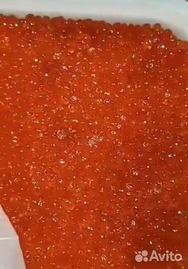 Красная икра Кета