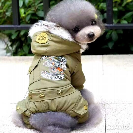 Одежда для маленьких собак