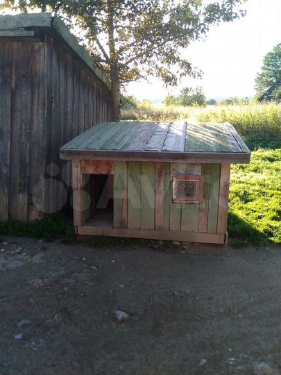 Дом 50 м² на участке 50 сот.