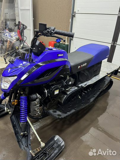 Dingo T150