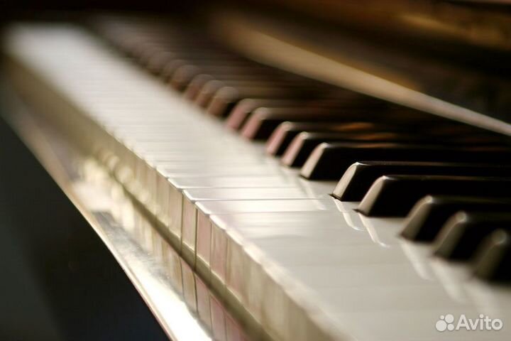 Уроки игры на фортепиано и уроки вокала