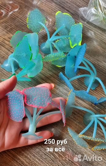 Украшения в аквариум (водоросли растения)