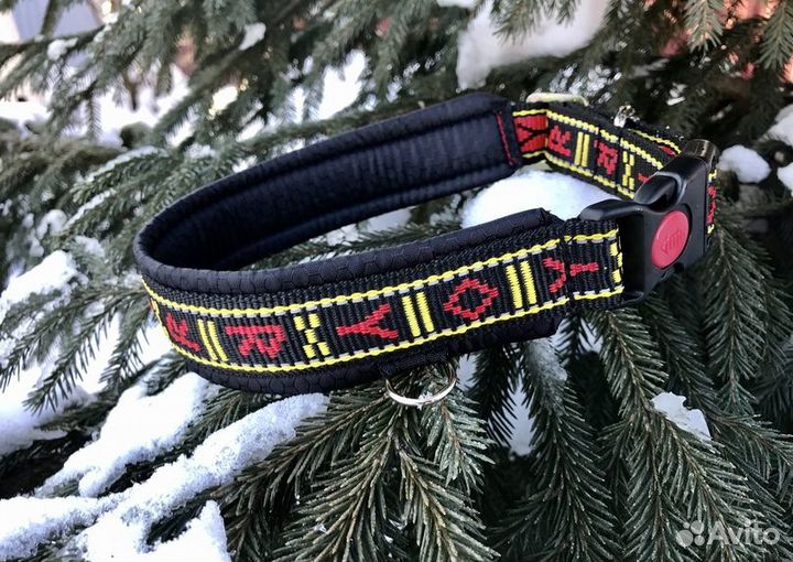 Ошейники и шлейки для средних и крупных собак