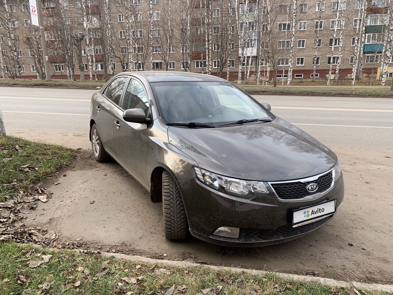 Kia Cerato: фото владельца