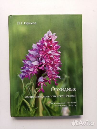 Орхидеи