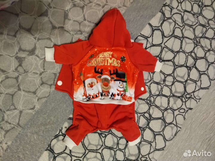 Одежда для собак мелких пород бу