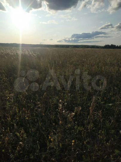 Участок 12 га (СНТ, ДНП)