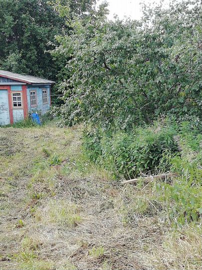 Дом 60 м² на участке 50 сот.