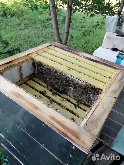 Утепленый альпийский улей. В комплекте крыша, дно