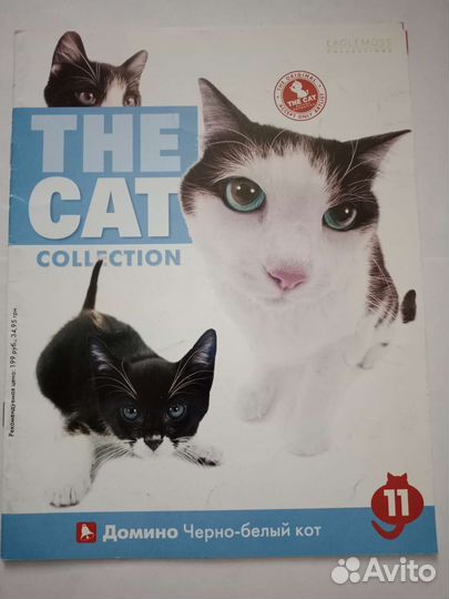 Журналы The cat