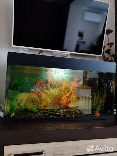 Аквариум