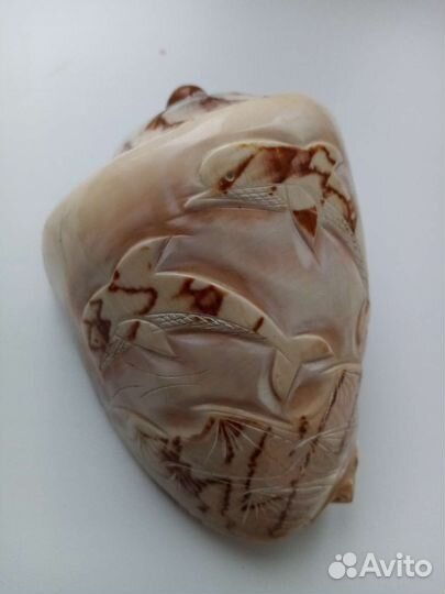 Ракушка сувенирная большая