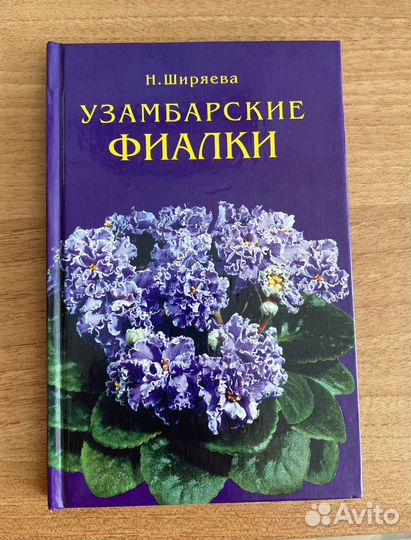 Узамбарские фиалки