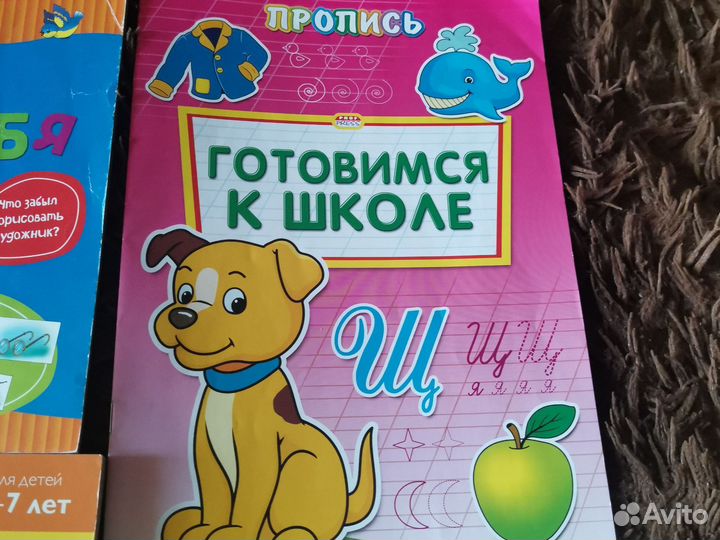 Развивающие пособия пакетом