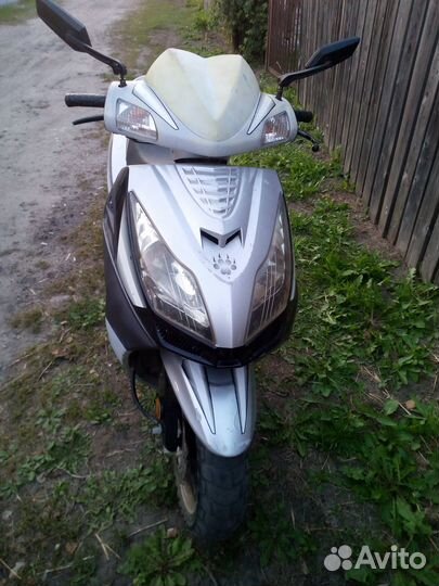 Ирбис Нирвана 150