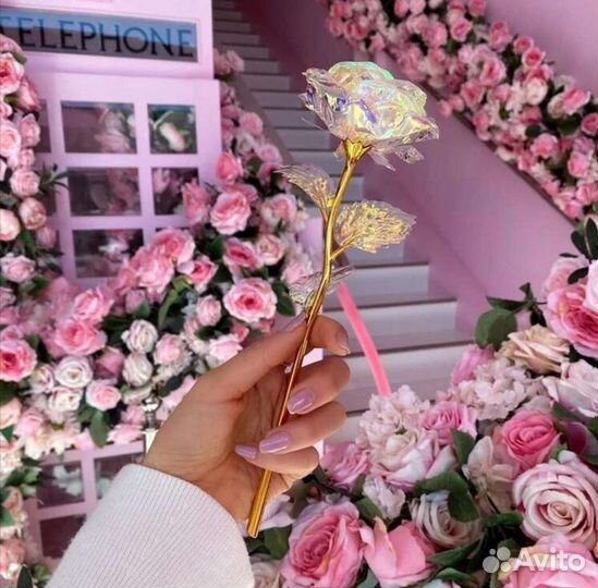 Переливающиеся розы в разный цвет на свету