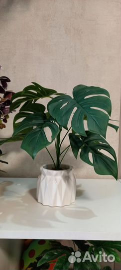 Искуственные растения