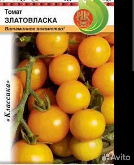 Рассада томатов балк чудо, комн сибиряк и др