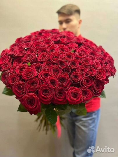 Роза красная голландия с доставкой