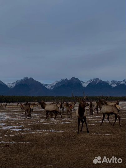 Туры на Байкал