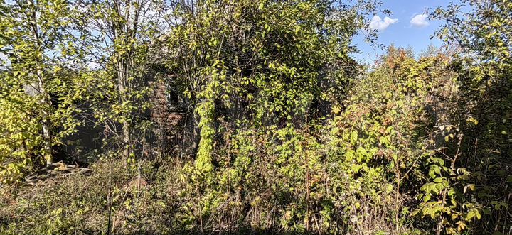 Участок 17,93 га (ИЖС)