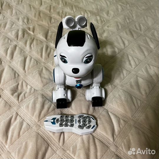 Робот-собака
