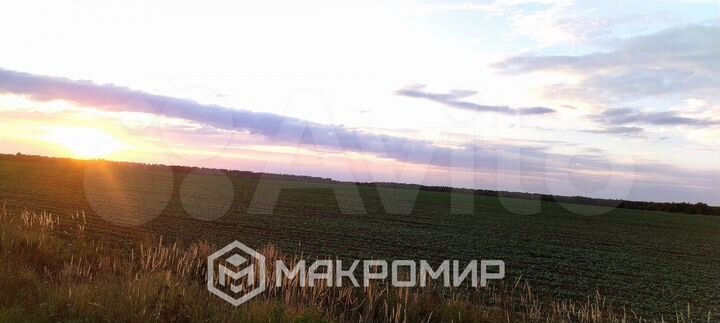 Участок 39 га (ИЖС)